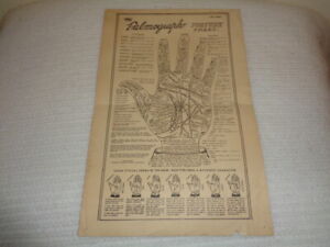 Palmograph Fortune Chart