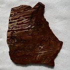 NEVADA DEAD CAMEL JASPER SLAB ~ 104 grams / rough agate mineral rock cab — photo 3