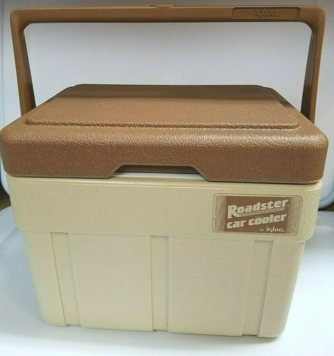 Portable ice chest 2025