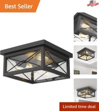 Stylish Black Flush Mount Ceiling Light with Clear Glass Shade - 2-Light Sources