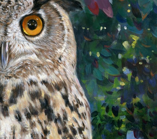 Photo Digital Product Wallpaper Background Image Picture Owl nature- forest bird - Picture 4 of 5