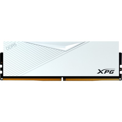 ADATA DIMM 16 GB DDR5-6000 , Arbeitsspeicher, weiß