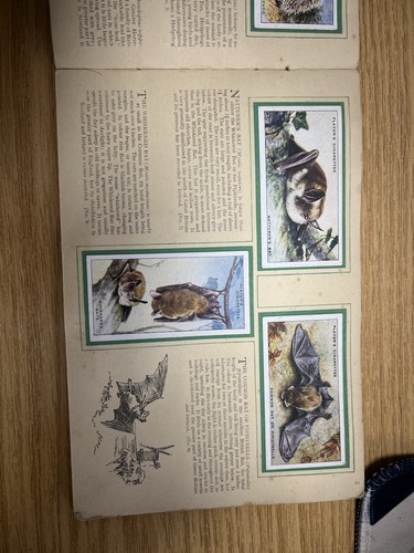 CIGARETTE CARD ALBUM COMPLETE/ ANIMALS OF THE COUNTRYSIDE/ JOHN PLAYER & SONS - Picture 4 of 19