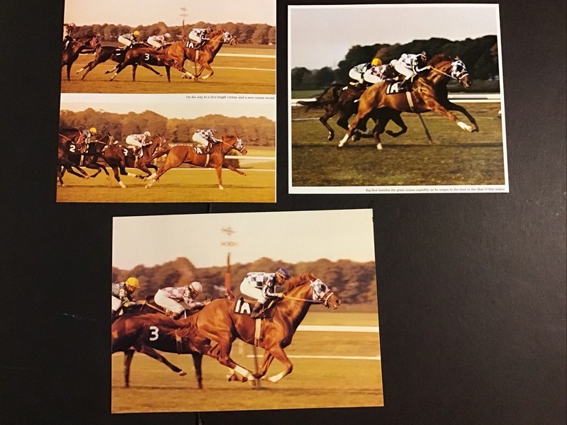 SECRETARIAT 4 PHOTOS Horse Racing 1973 MAN O’ WAR STAKES