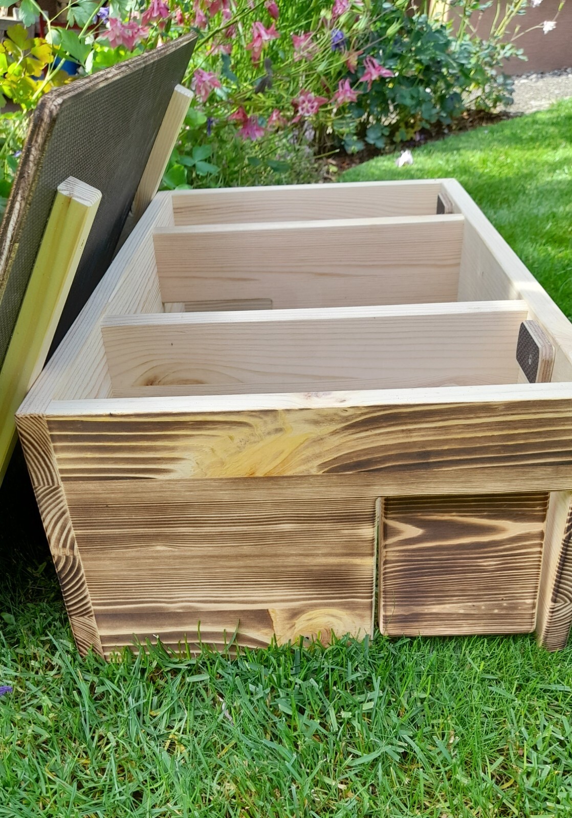 Bild 4 von 5