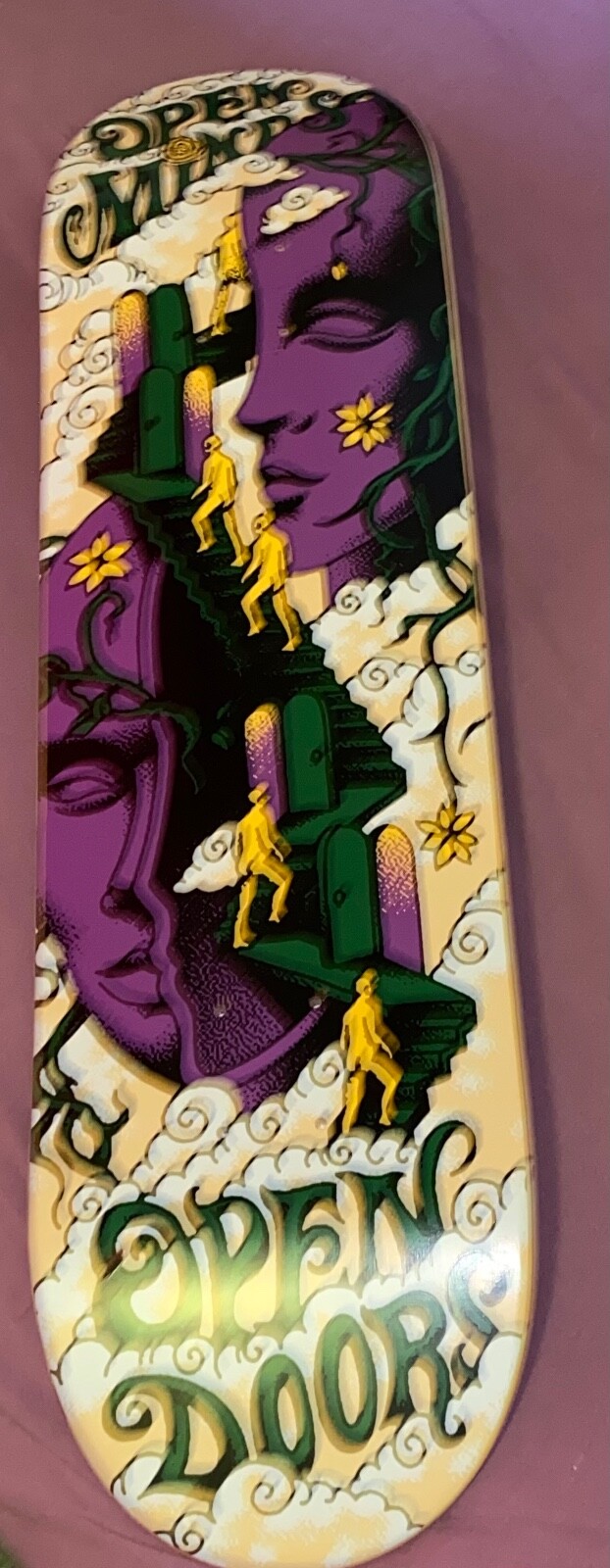 skateboard decks 8.25