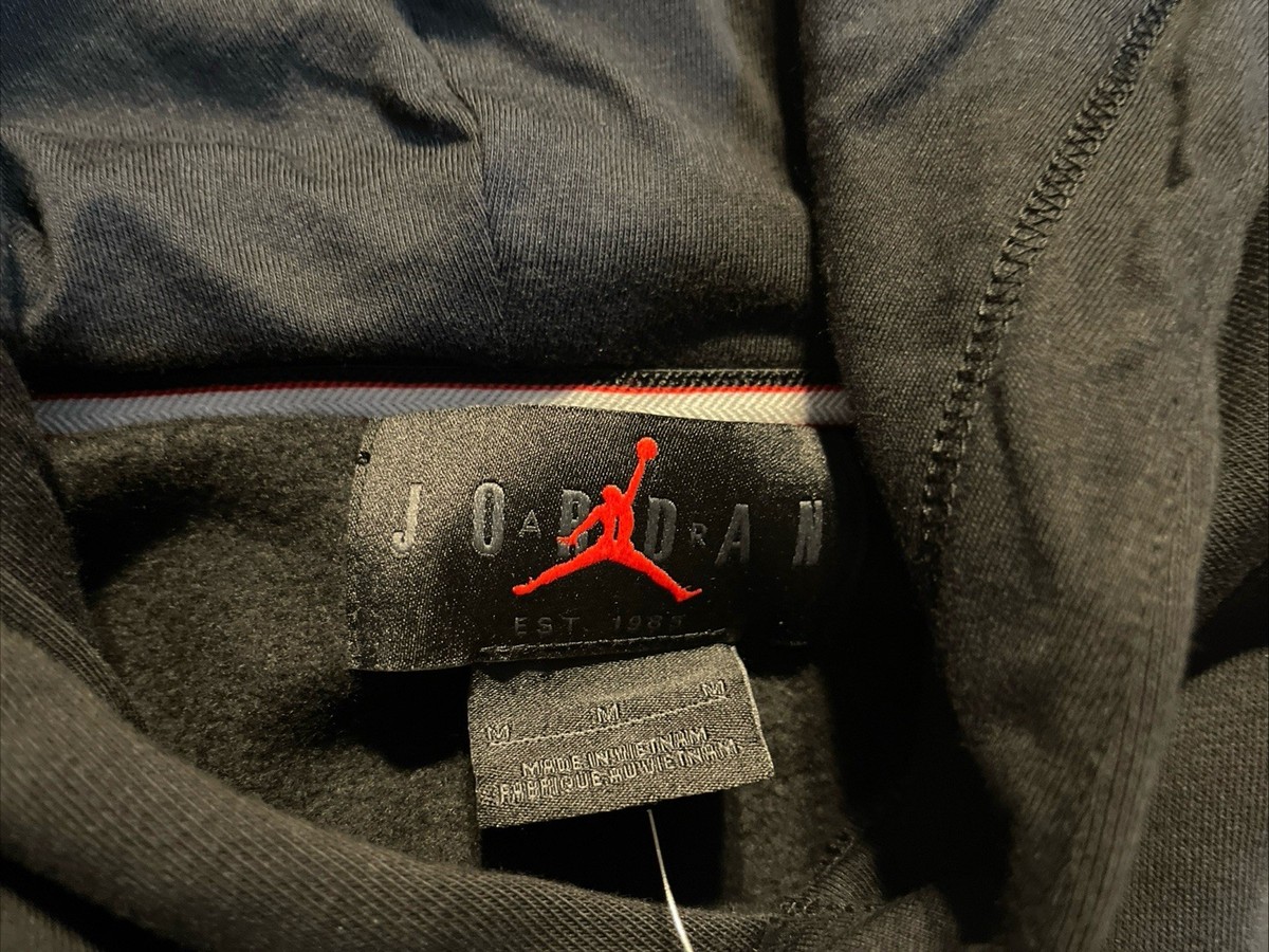 Nike Air Jordan Artist Series Jammie Holmes Fleece Hoodie FD7393