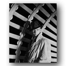 Douglas Fairbanks Jr Photo 8x10 Actor Portrait-1