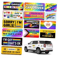 14PCS Funny LGBT Car Magnets Set, Gay Pride Rainbow Magnetic Bumper Stickers,