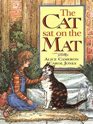 The Cat Sat on the Mat Hardcover