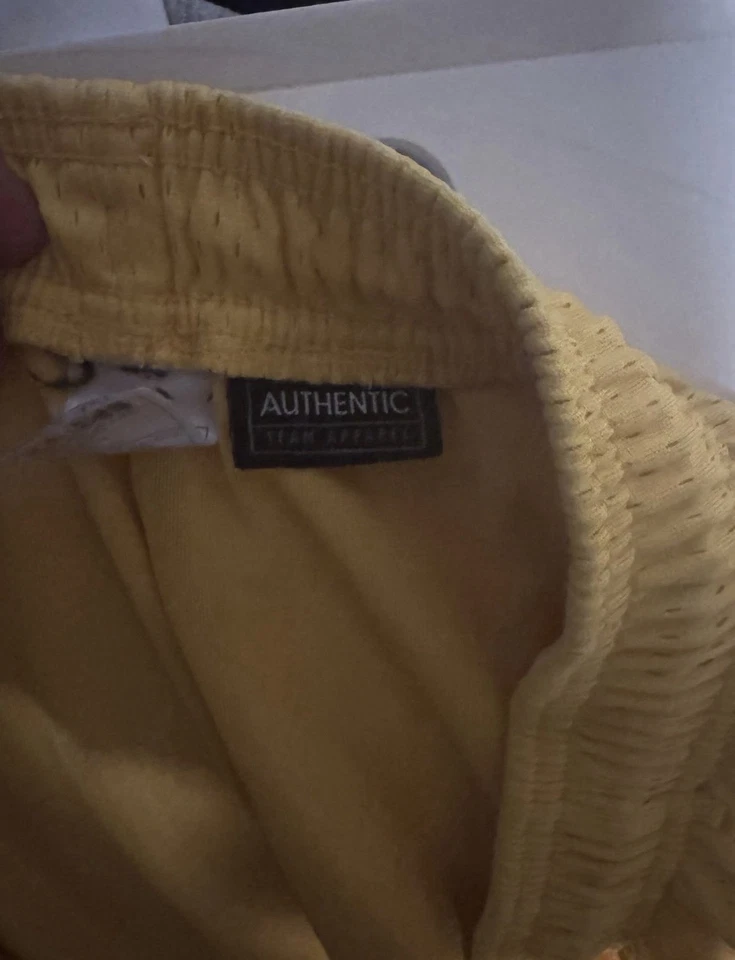 Pantalones Cortos de Baloncesto Vintage Nike Auténticos MICHIGAN WOLVERINES Fab Five Talla 38 XL Foto 4 de 4