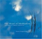 The Heart of Meditation: Pathways to a Deeper Experience