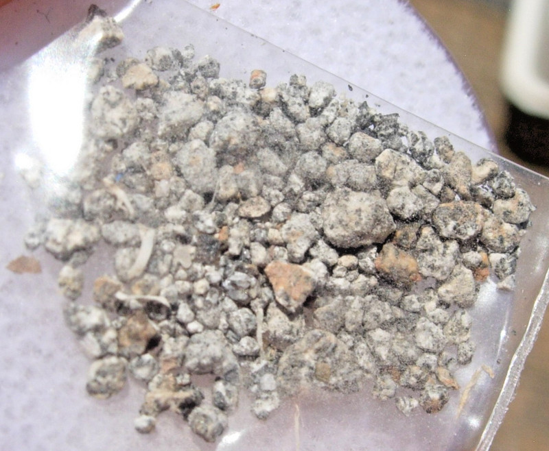 .393 grams NWA 12227 meteorite HED achondrite (Howardite) fragments with a COA