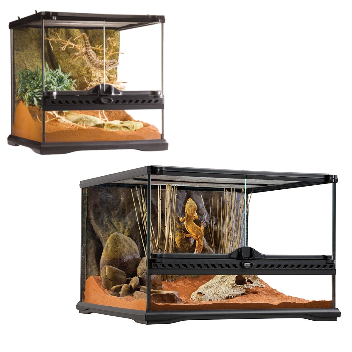Exo Terra Glas Terrarien, Reptilien Terrarium + Rückwand 30 x 30 oder
