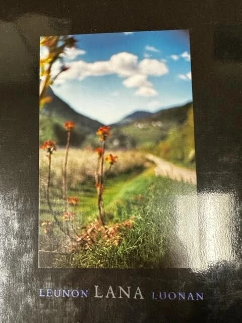 LANA: PHOTOGRAPHS MADE OF A SINGLE LOCALE BY TERRI WEIFENBACH (2003, HC, LTD ED)