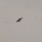 1 ILLINOIS 16 SIZE #47608 DOUBLE ROLLER  PIVOT 10,  MODEL 10 -----B-10