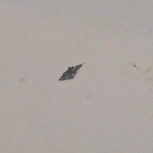 1 ILLINOIS 16 SIZE #47608 DOUBLE ROLLER  PIVOT 10,  MODEL 10 -----B-10