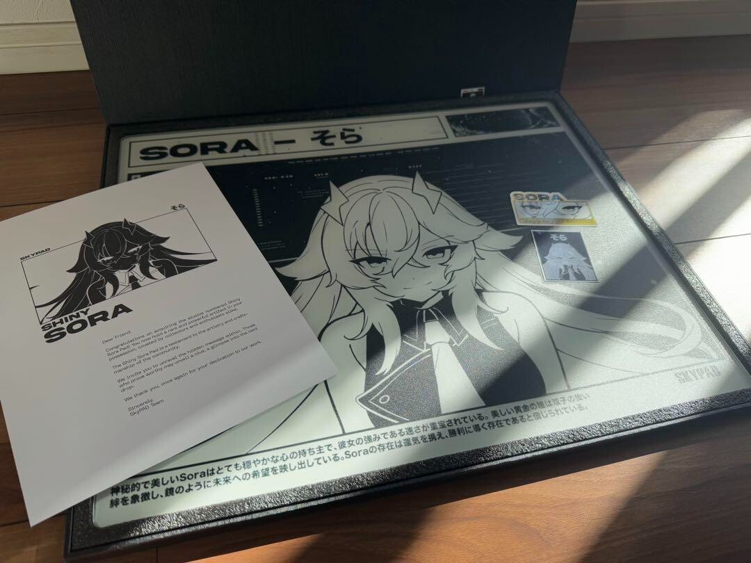 SKYPAD 3.0 XL SHINY SORA Limited to 1000 Pieces worldwide SKYPAD 3.0 XL SHINY SORA Limited to 1000 Pieces worldwide