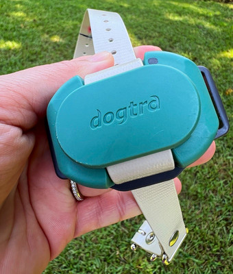 Dogtra CUE Remote Dog Training E-Collar GREEN, 400 Yd Range, 24 Levels, Boost
