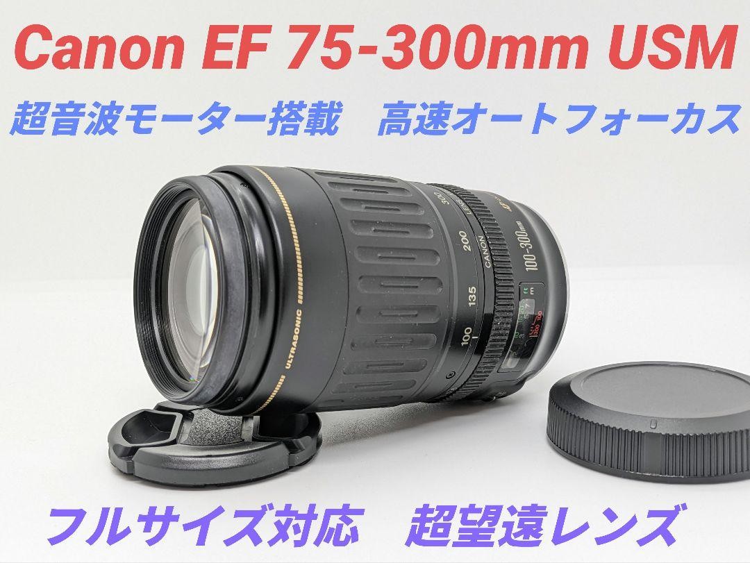 5月15日限定価格♪Canon EF 100-300mm USM Canon EF 100-300 mm f/4.5-5.6 USM - LensTip.com