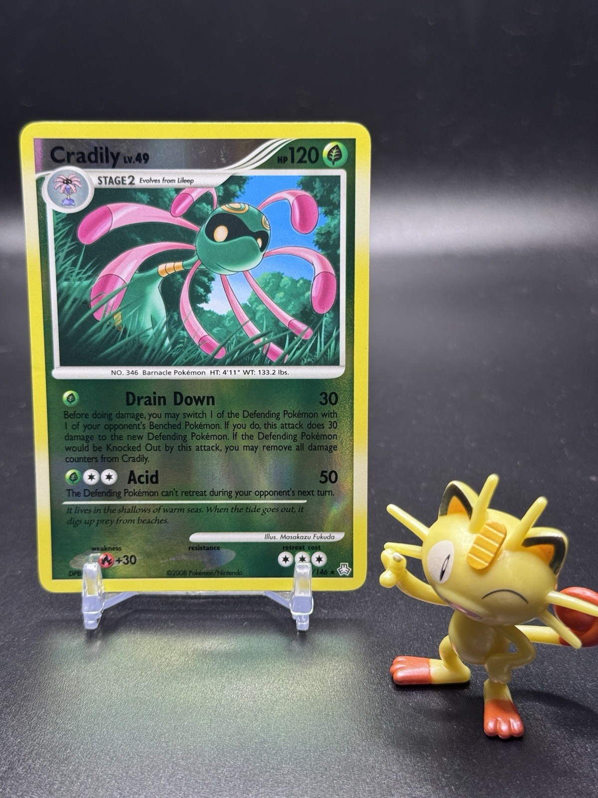 Cradily 21/146 Pokemon Legends Awakened Reverse Holo - LP