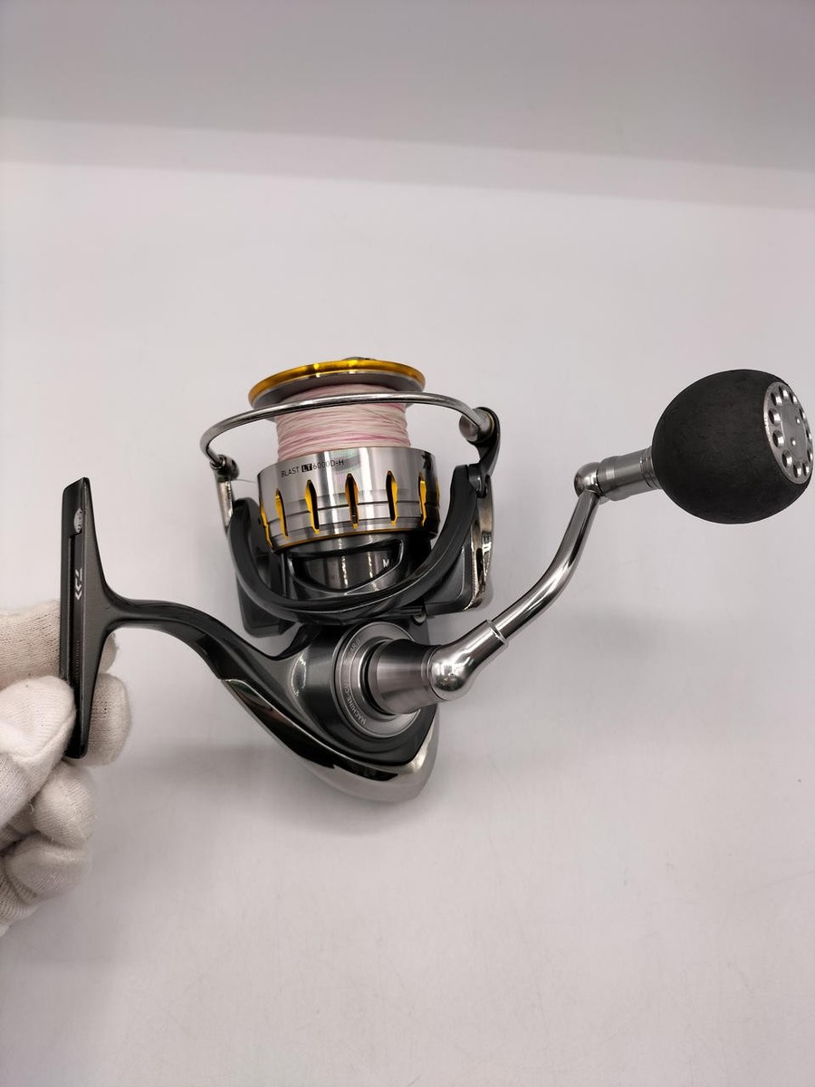 DAIWA BLAST LT6000D-H Spinning reel 250628 | eBay