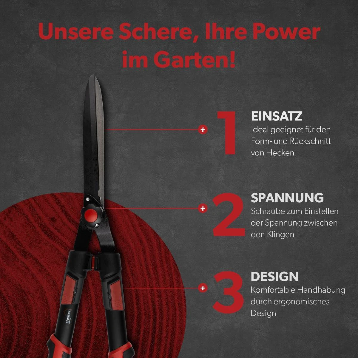 Bild 4 von 8