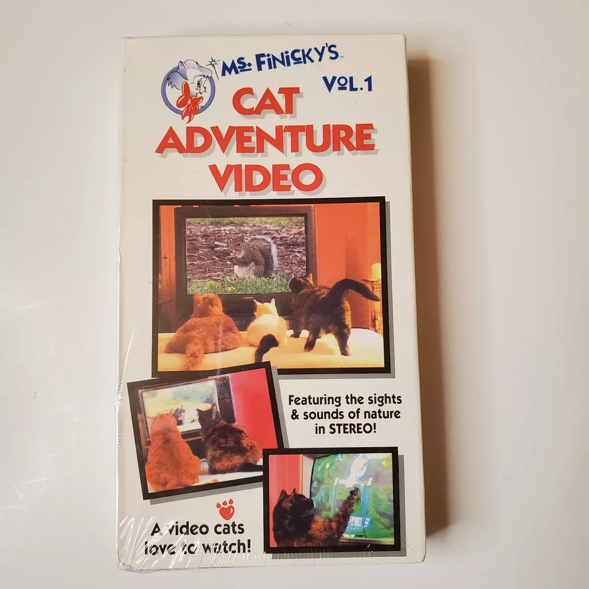 Videos cats hotsell love to watch