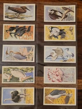 African Birds Rhodesia Rare Set 1-50 Brooke Bond Tea Cards 1965 SR6 & Other Sets