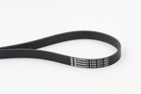 Continental Ctam 6PK1217 Keilrippenriemen FüR Chevrolet, CitroëN, Fiat, Ford,