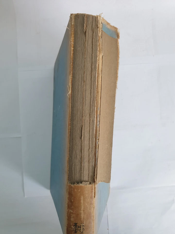 My Horse Warrior by Lord Mottistone, 1938, Hodder and Stoughton Ltd, hardback - Image 4 of 4