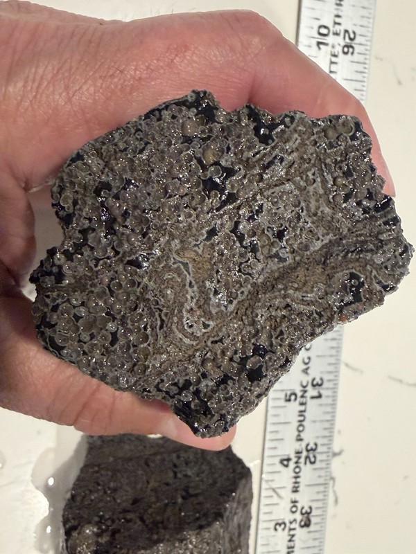 Salton Sea Obsidian Pumice Columnar Structure Specimen   2lbs 2 Pieces