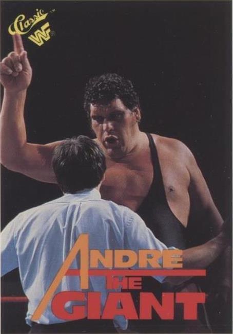 1974 Yamakatsu New Japan Pro Wrestling - Andre the Giant #29 for