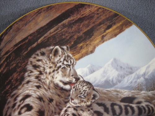 Piatto da collezione leopardo delle nevi ultimo del loro genere specie in via di estinzione Will Nelson - Foto 2 di 4
