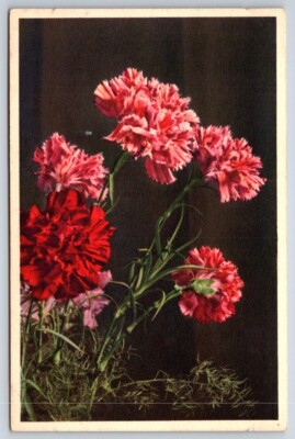 Swiss Artist Thor E. Gyger Postcard Garden Pink Flowers c1930s/1940s Unposted