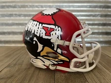 2022 Youngstown State Penguins Speed Mini Helmet