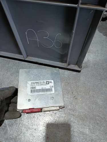 Opel Vectra B Motorsteuergerät Motor Steuergerät 16202319 NL D96003 GM