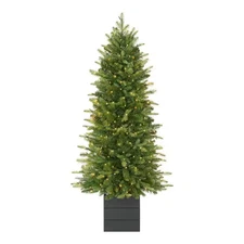 4 Ft. Grand Duchess Twinkling Balsam Fir Potted LED Pre-Lit Artificial Tree G3