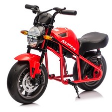 24V 300W Kids Electric Motorcycle w/ 14in EVA Wheels, 11.18MPH, Music  Light