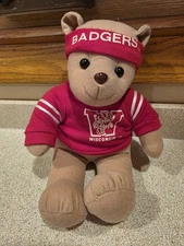 Vintage 1994 University Of Wisconsin Badgers Plush Figure Teddy Bear Stuffins