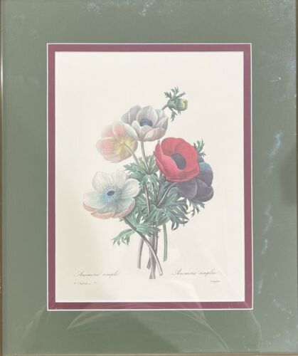 Anemone Simplex Botanical Print by Pierre-Joseph Redouté in Gold Leaf Frame - Picture 2 of 5