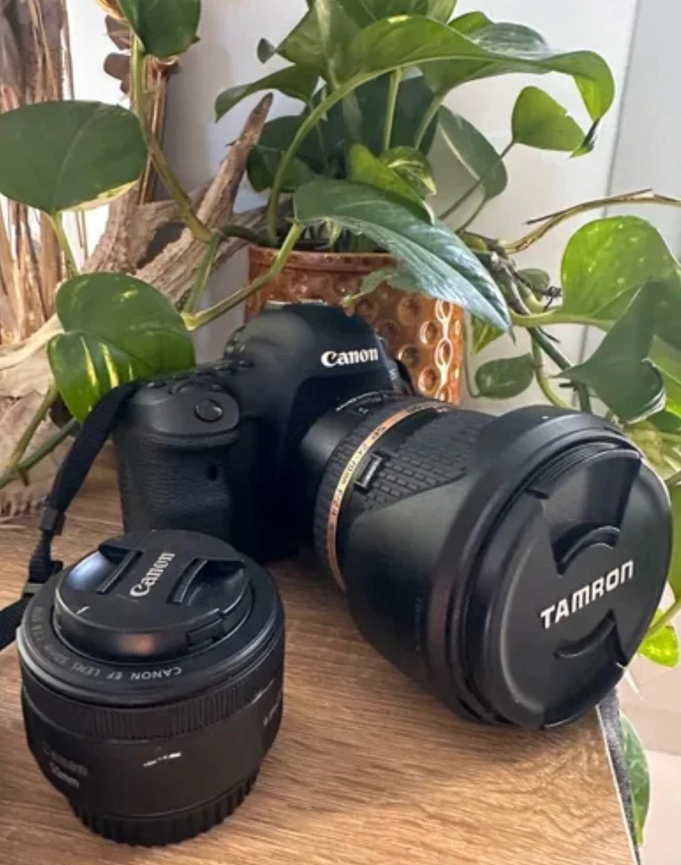 Canon EOS 5D Mark IV + Objetif Canon EF 50mm f/1.4 USM, photo 1 sur 5