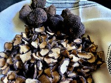 Dried Organic Sliced Umbria Black Truffle Summer Black Truffle/ Tartufo/ Tr ffel