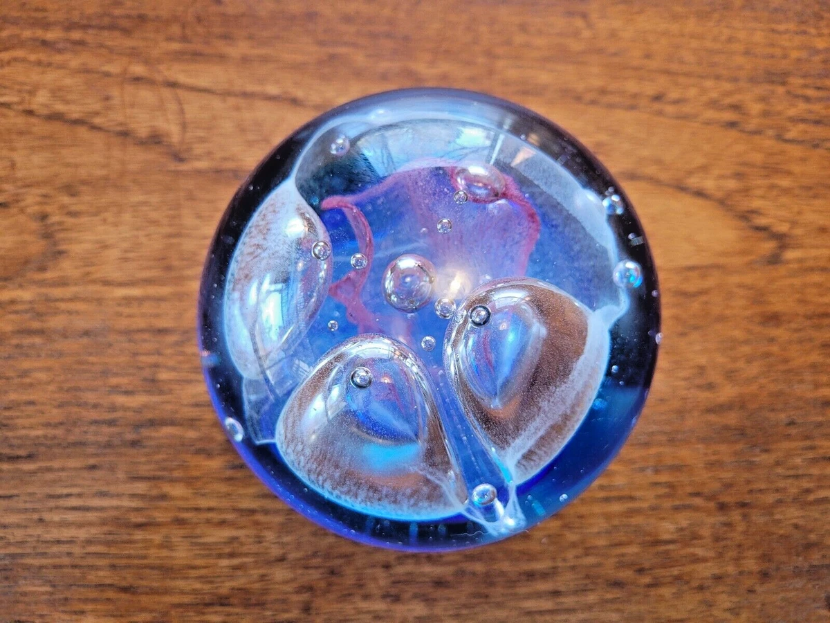 Bloodybelly Comb Jelly