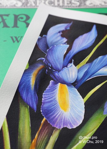 Original Watercolor Painting Dutch Iris Flower Botanical Portrait - Picture 3 of 4