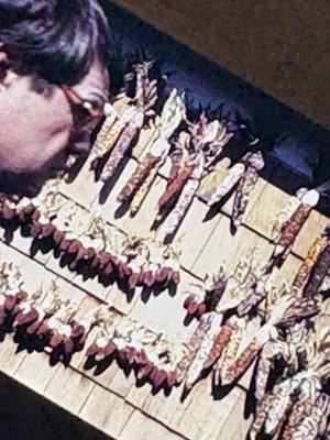 Wall of Dried Corn W man profile, 1986 vintage found 35MM slide, free shipping