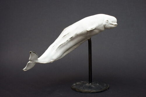 Bronzefigur 'BELUGA WHALE - WEIßWAL' by "RUCHOS" - Limited Edition - Bild 2 von 12