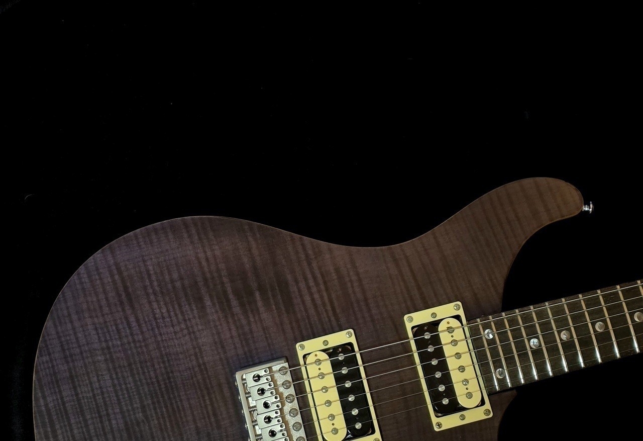 Paul Reed Smith(PRS) SE Custom 24 Electric Guitar Used