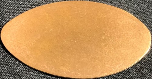 COPPER! RETIRED! FISH - AUDUBON AQUARIUM OF THE AMERICAS LOUISIANA PENNY - Picture 2 of 2