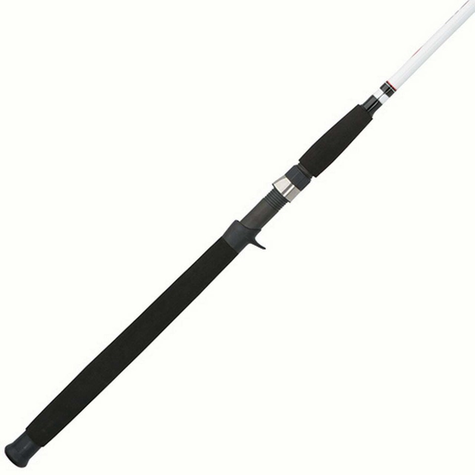 Berkley 6’6” Big Game Casting Rod, One Piece Nearshore/Offshore Rod eBay